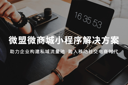 天揚微盟小程序微商城解決方案